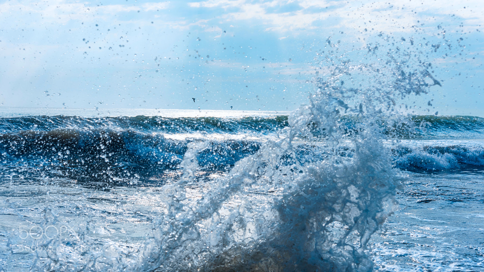 Nikon D810 sample photo. Sea spray. photography