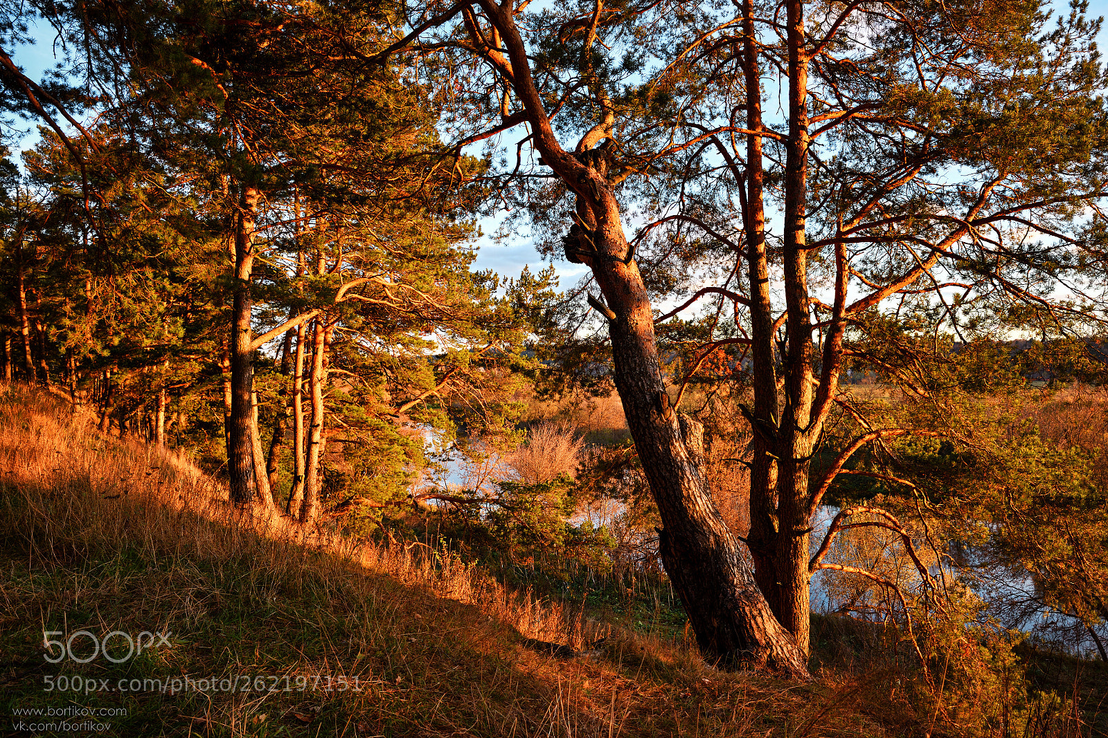 Nikon D810 sample photo. *** photography