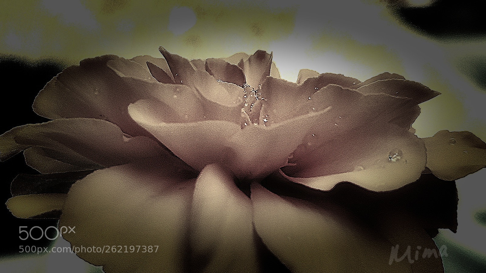 Samsung Galaxy S8 sample photo. ? photography