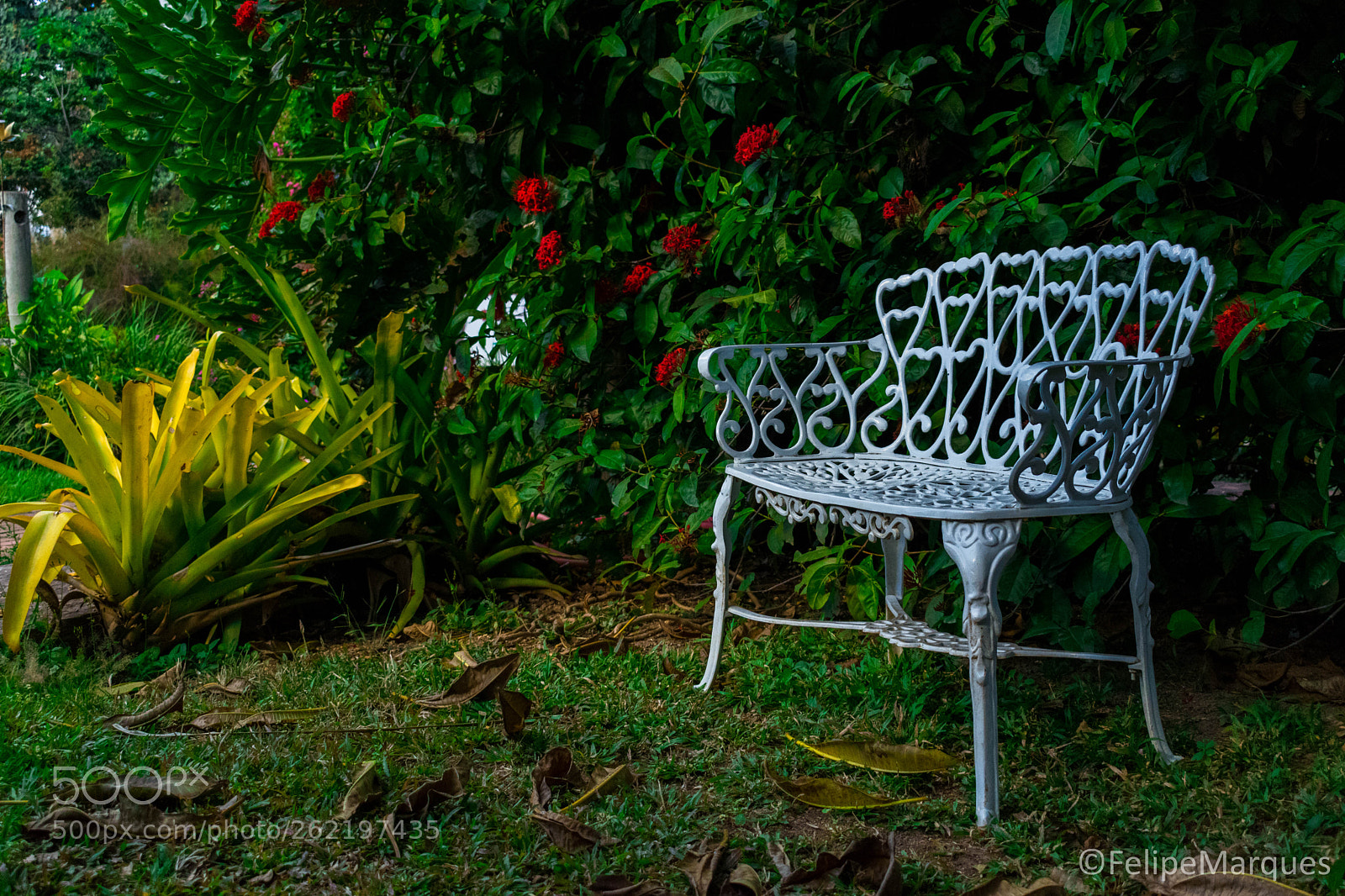 Nikon D5300 sample photo. A cadeira photography