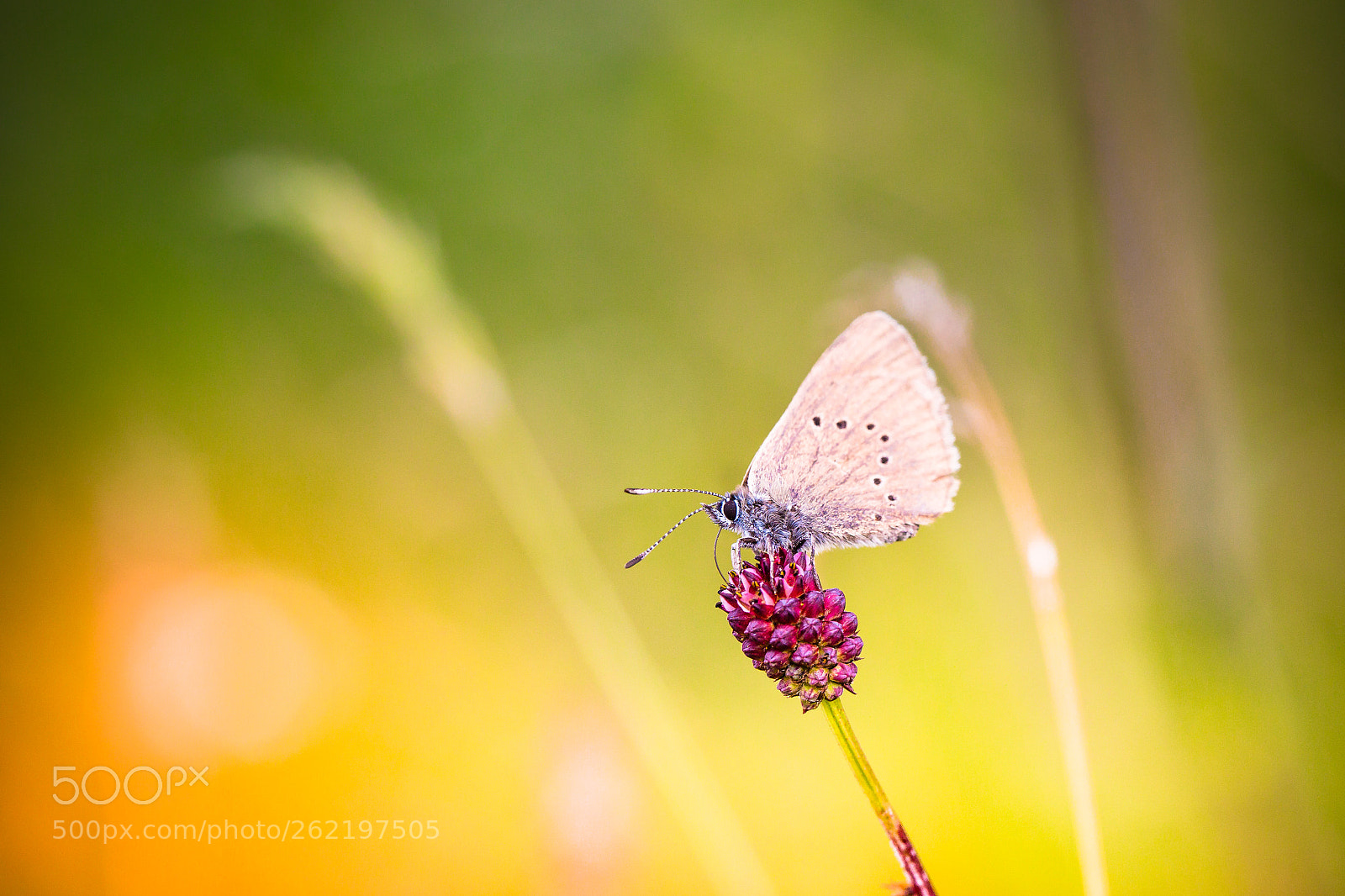 Canon EOS 6D sample photo. Nature photography
