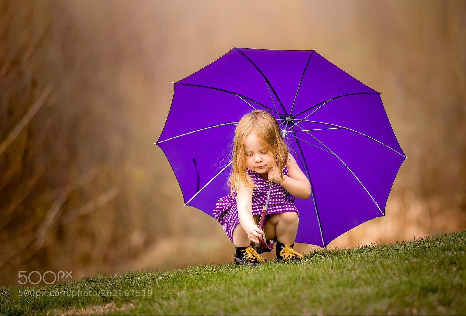 Canon EOS 6D sample photo. Shelter photography