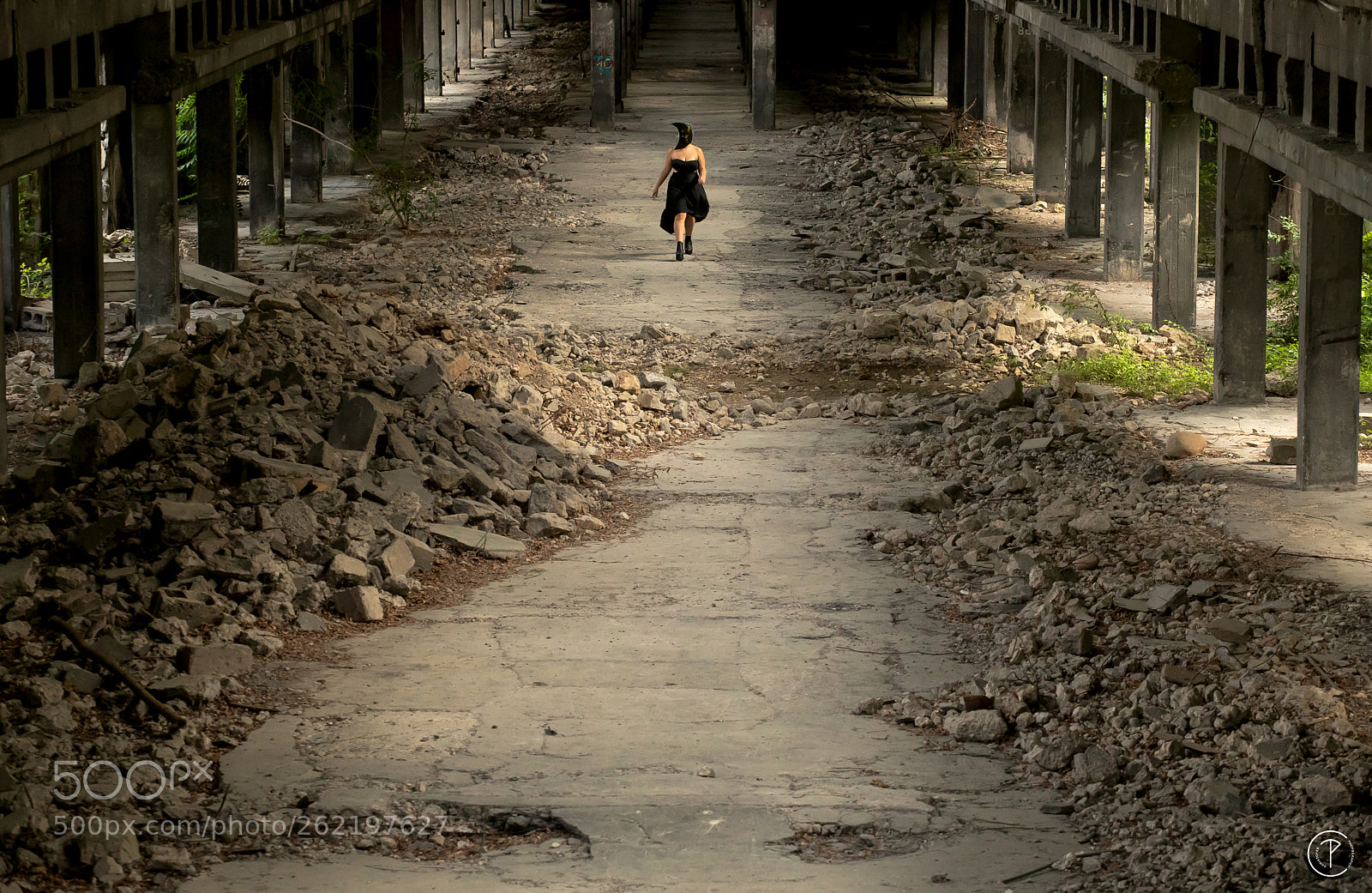 Canon EOS 5D Mark IV sample photo. The rise of death photography