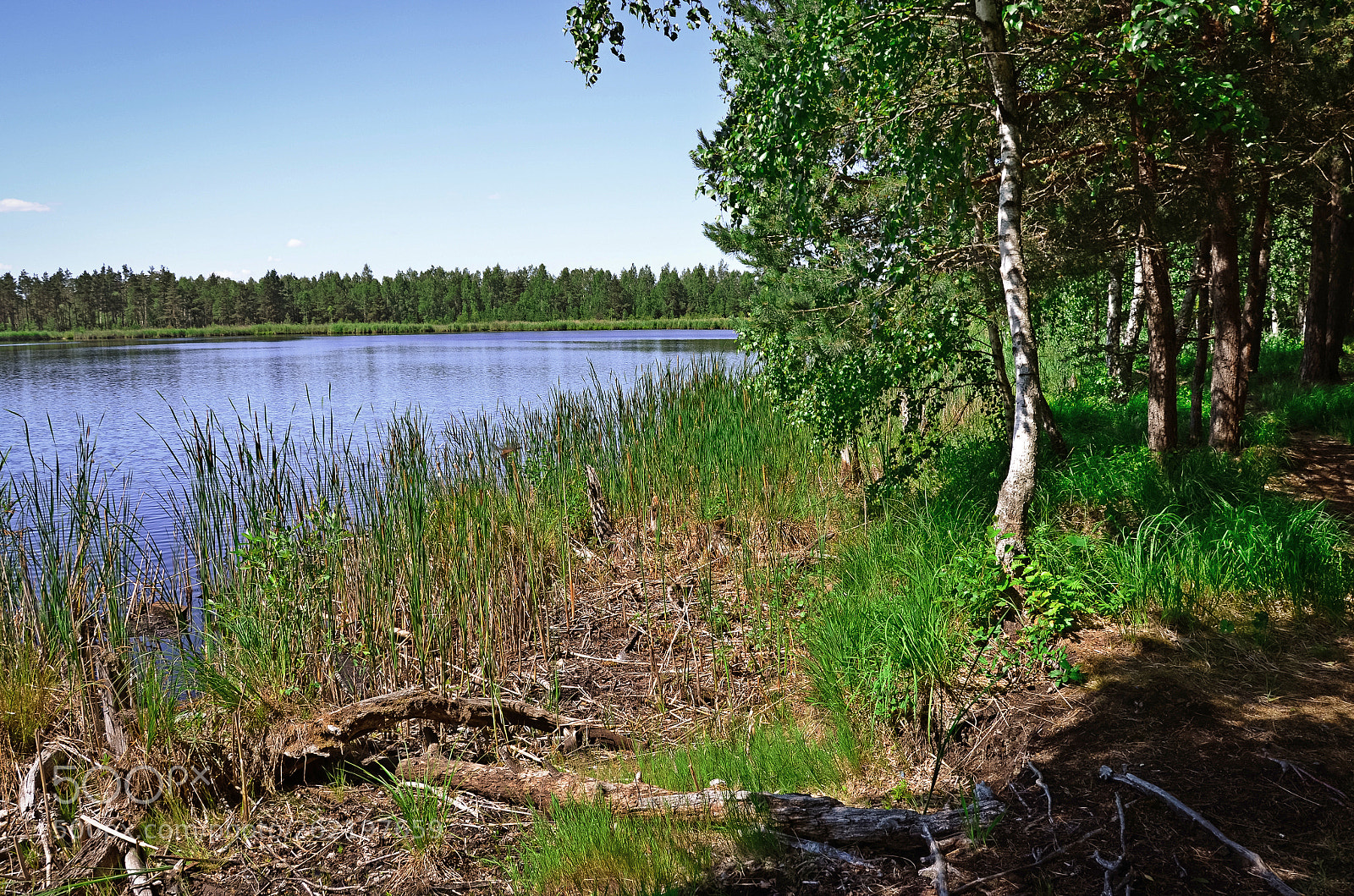 Nikon D5100 sample photo. Forest quarry photography