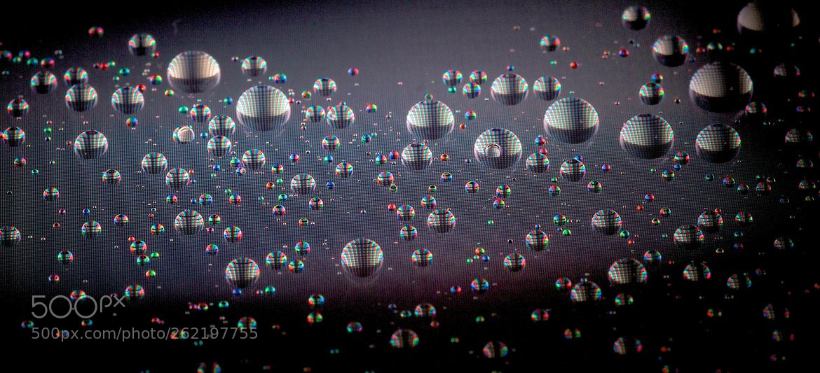 Nikon D300 sample photo. Gotas en una pantalla photography