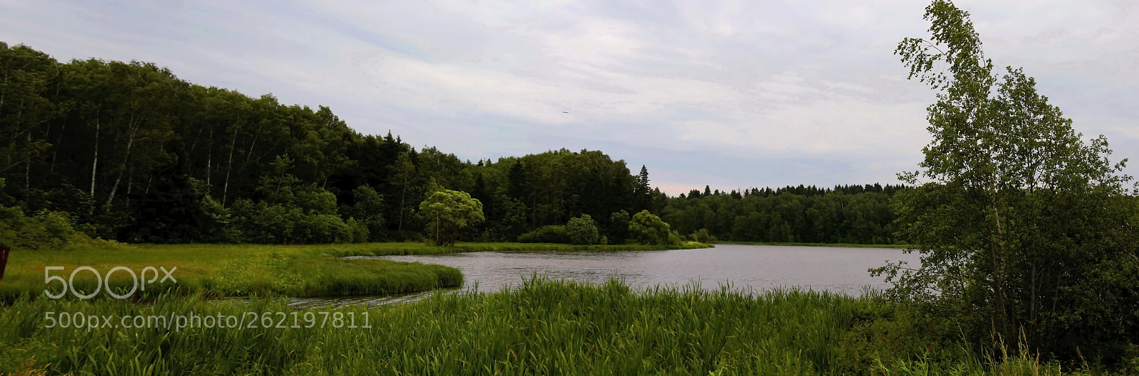 Canon EOS 650D (EOS Rebel T4i / EOS Kiss X6i) sample photo. Forest mirror photography