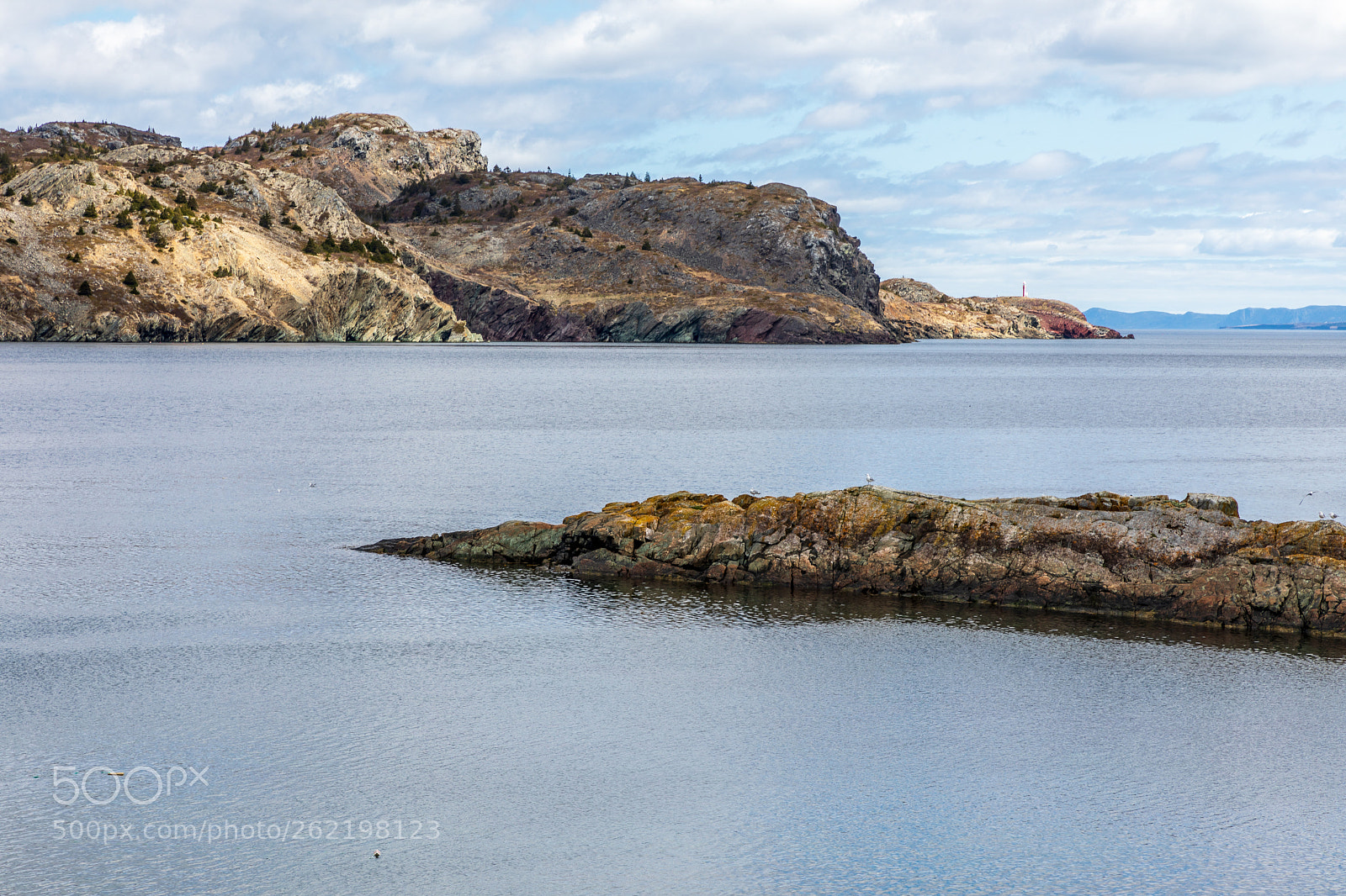 Canon EOS 5D Mark IV sample photo. Brigus cove photography