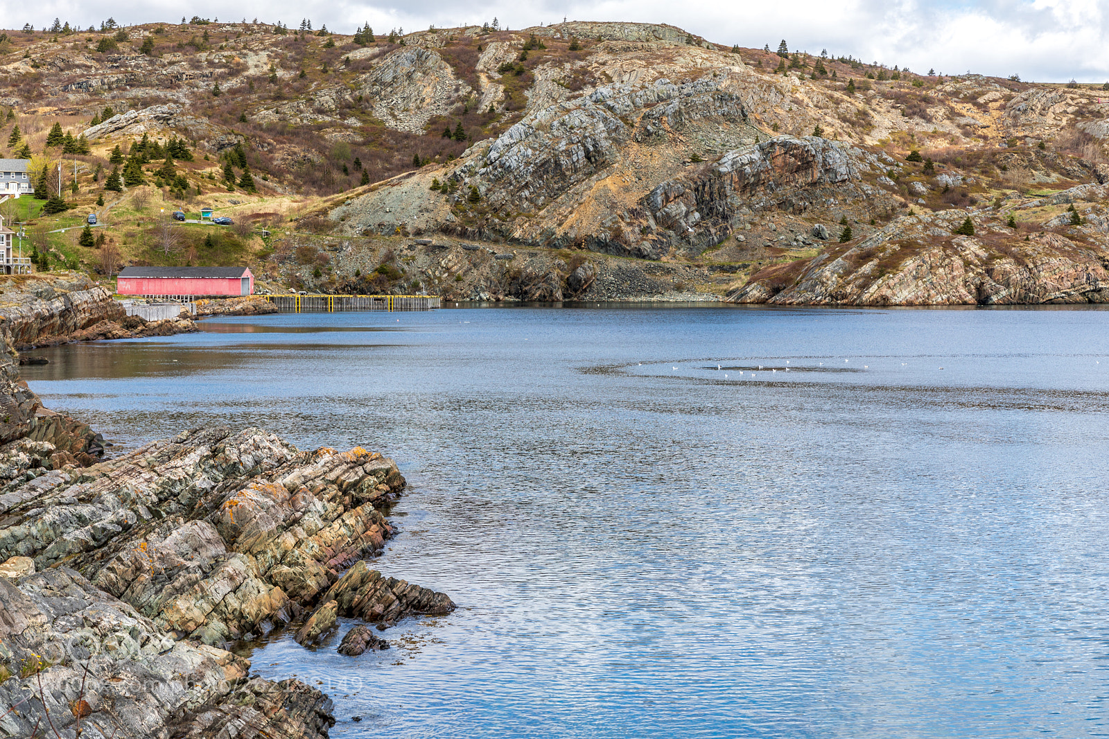 Canon EOS 5D Mark IV sample photo. Brigus cove photography
