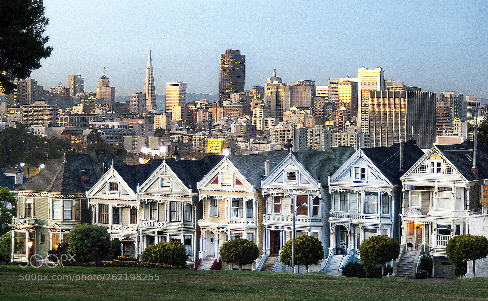 Nikon D200 sample photo. Painted ladies photography