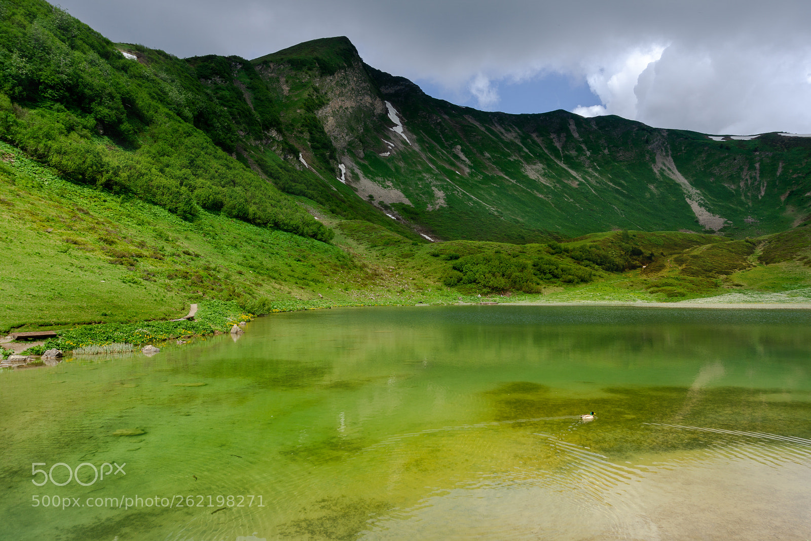 Sony a6000 sample photo. Schlappoldsee mit ente :) photography