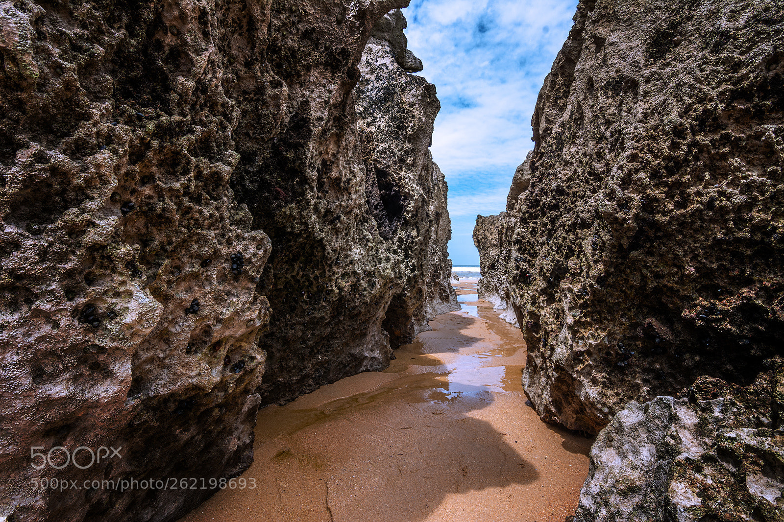 Nikon D7100 sample photo. Through the crack photography