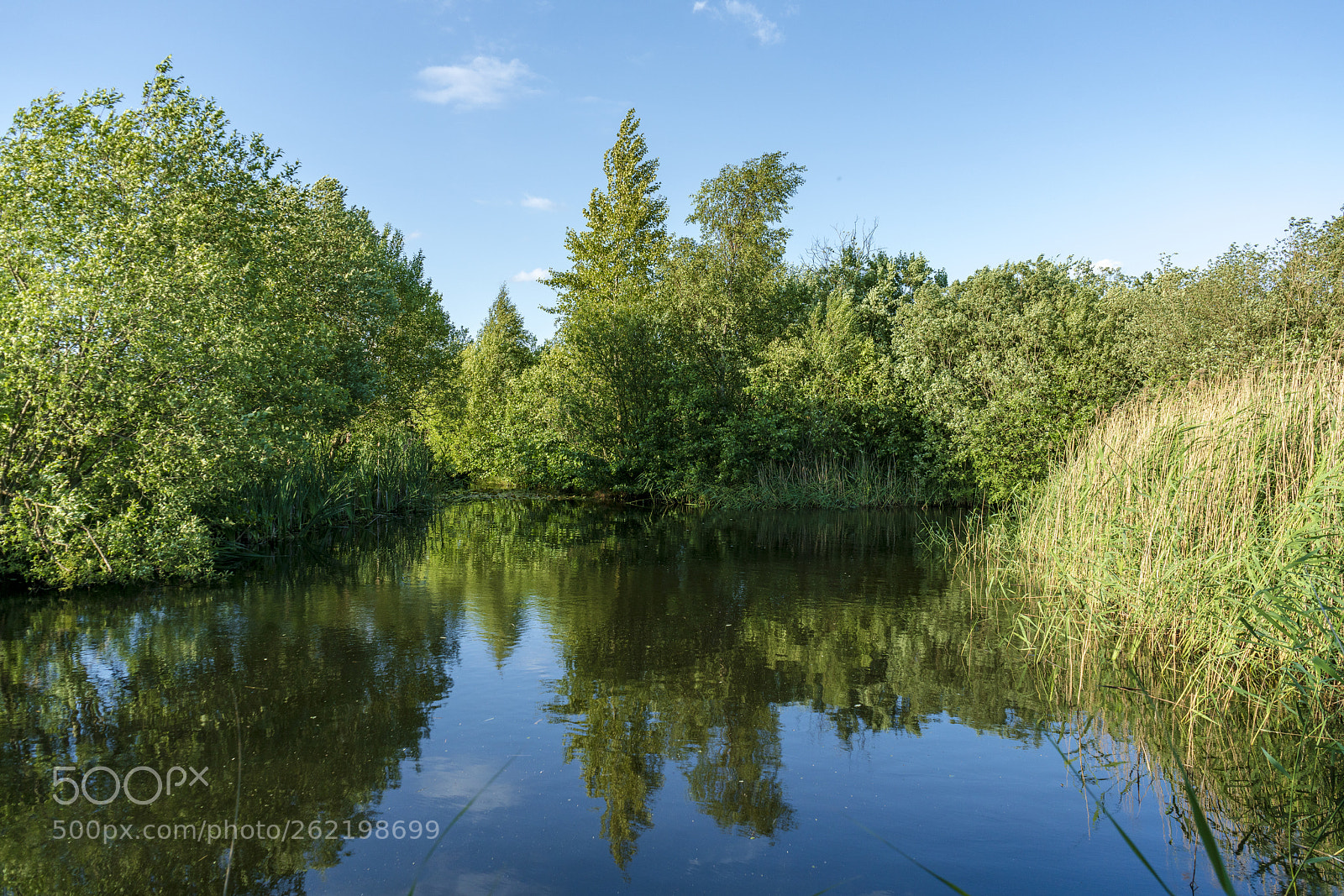 Sony a7R II sample photo. From a walk around photography