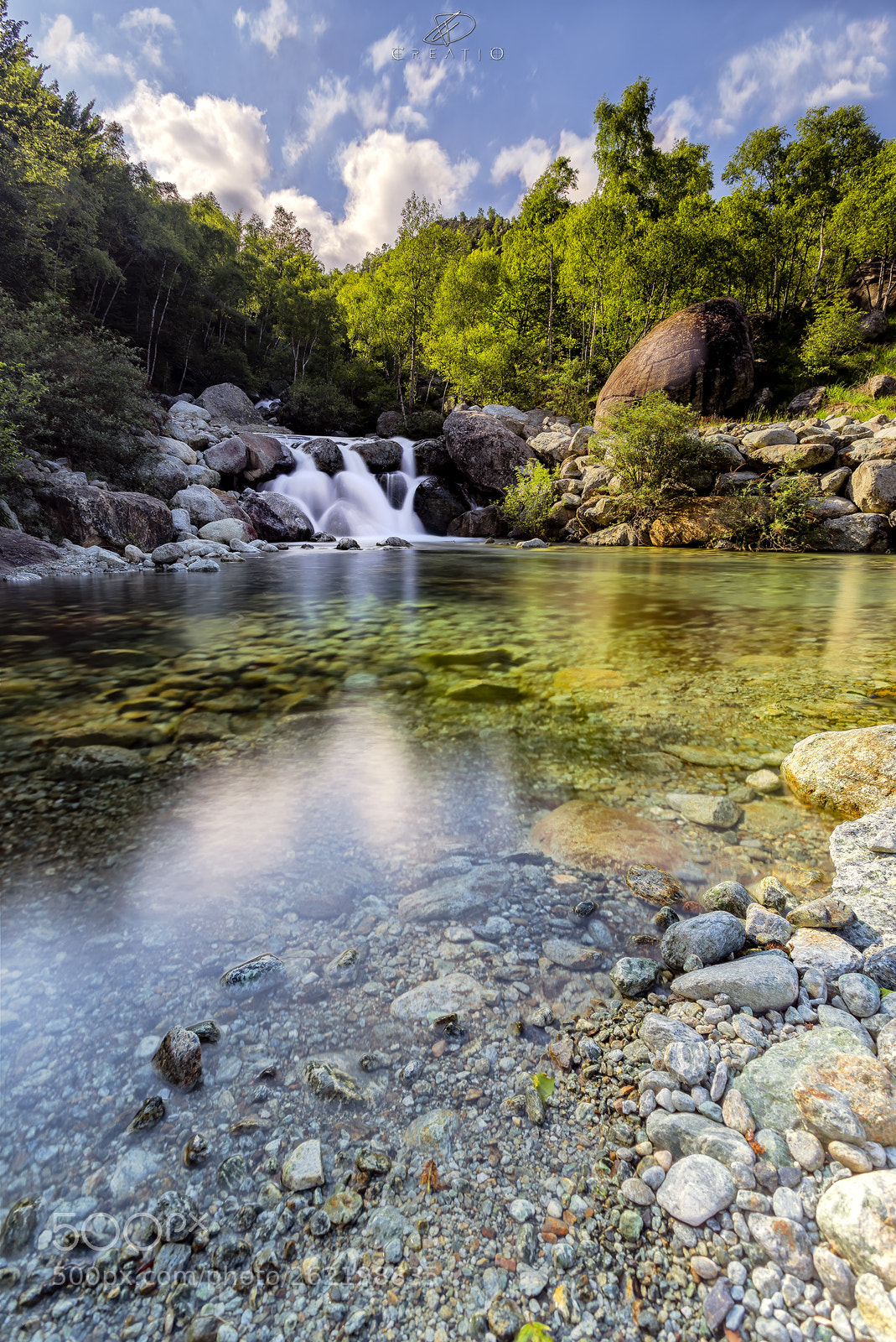 Canon EOS 6D sample photo. Magic forest photography