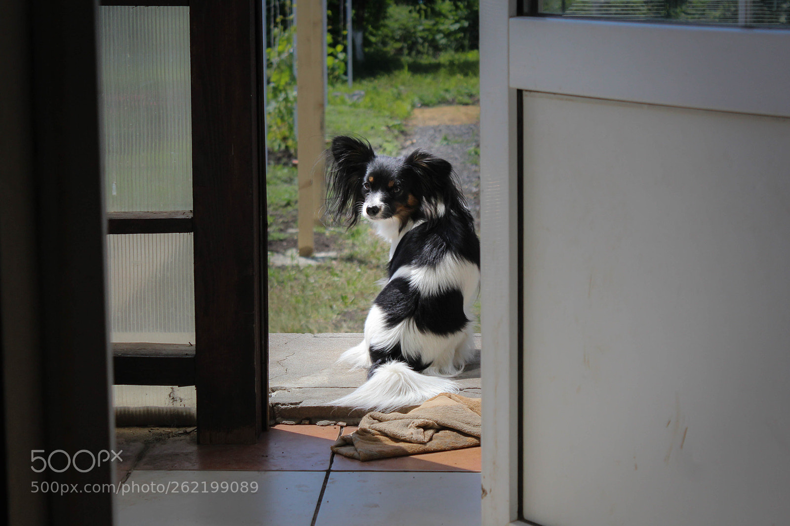 Canon EOS 1200D (EOS Rebel T5 / EOS Kiss X70 / EOS Hi) sample photo. Dusya photography