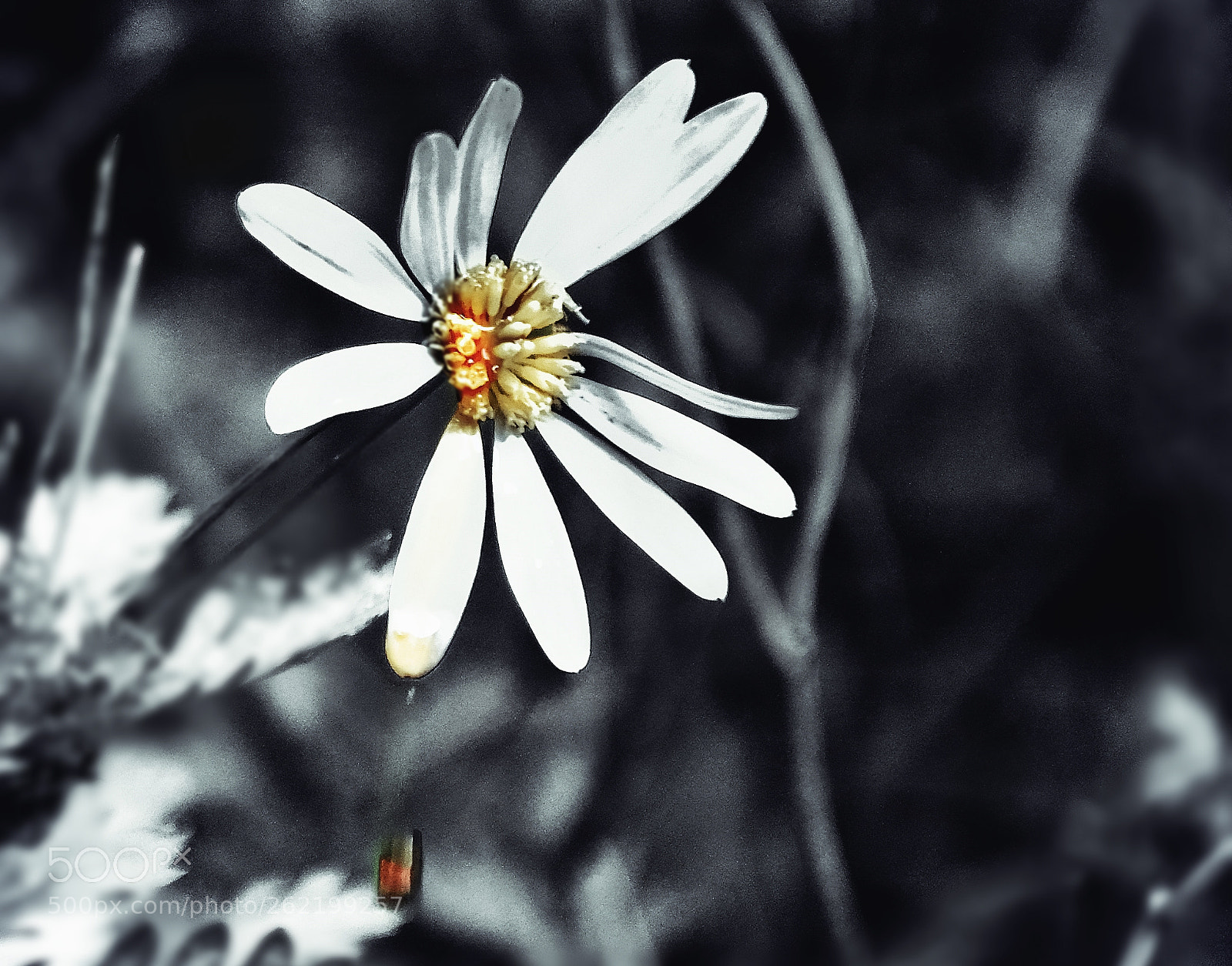 Nikon D3100 sample photo. Don´t cry photography