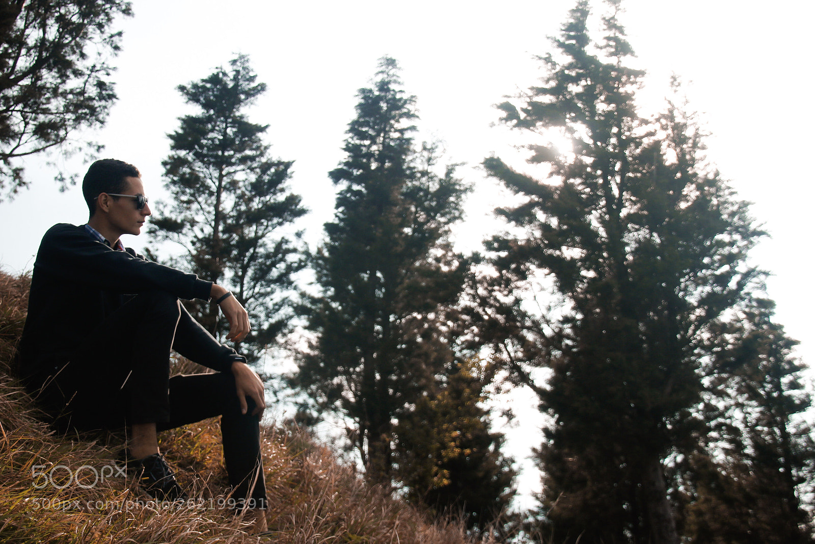 Canon EOS 70D sample photo. Untitled photography