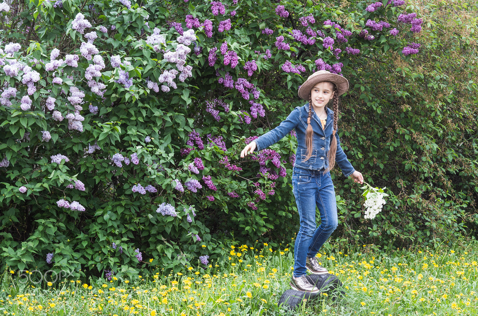 Pentax K-30 sample photo. Lilac photography
