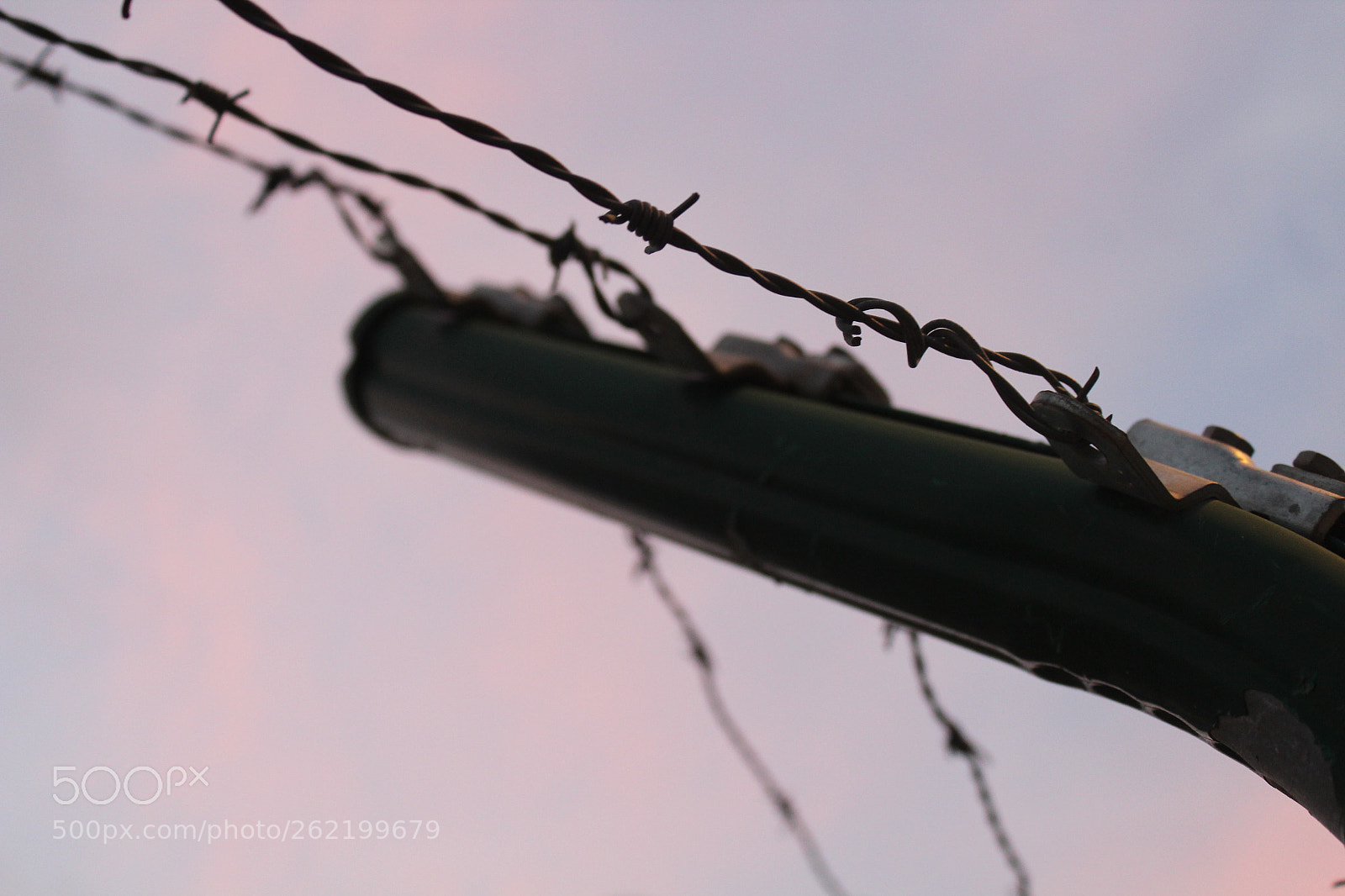 Canon EOS 1300D (EOS Rebel T6 / EOS Kiss X80) sample photo. The evening photography