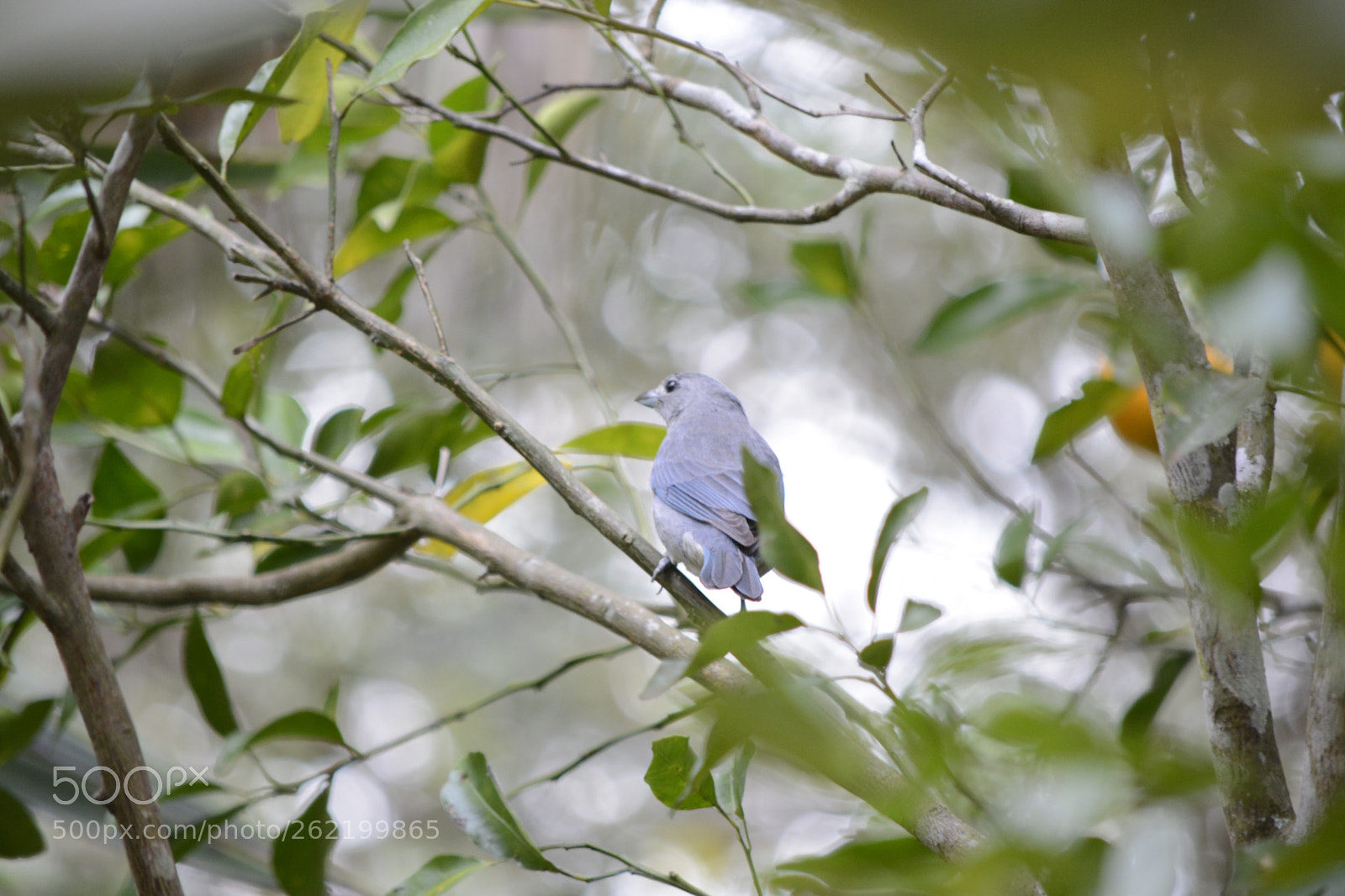 Nikon D7100 sample photo. Untitled photography