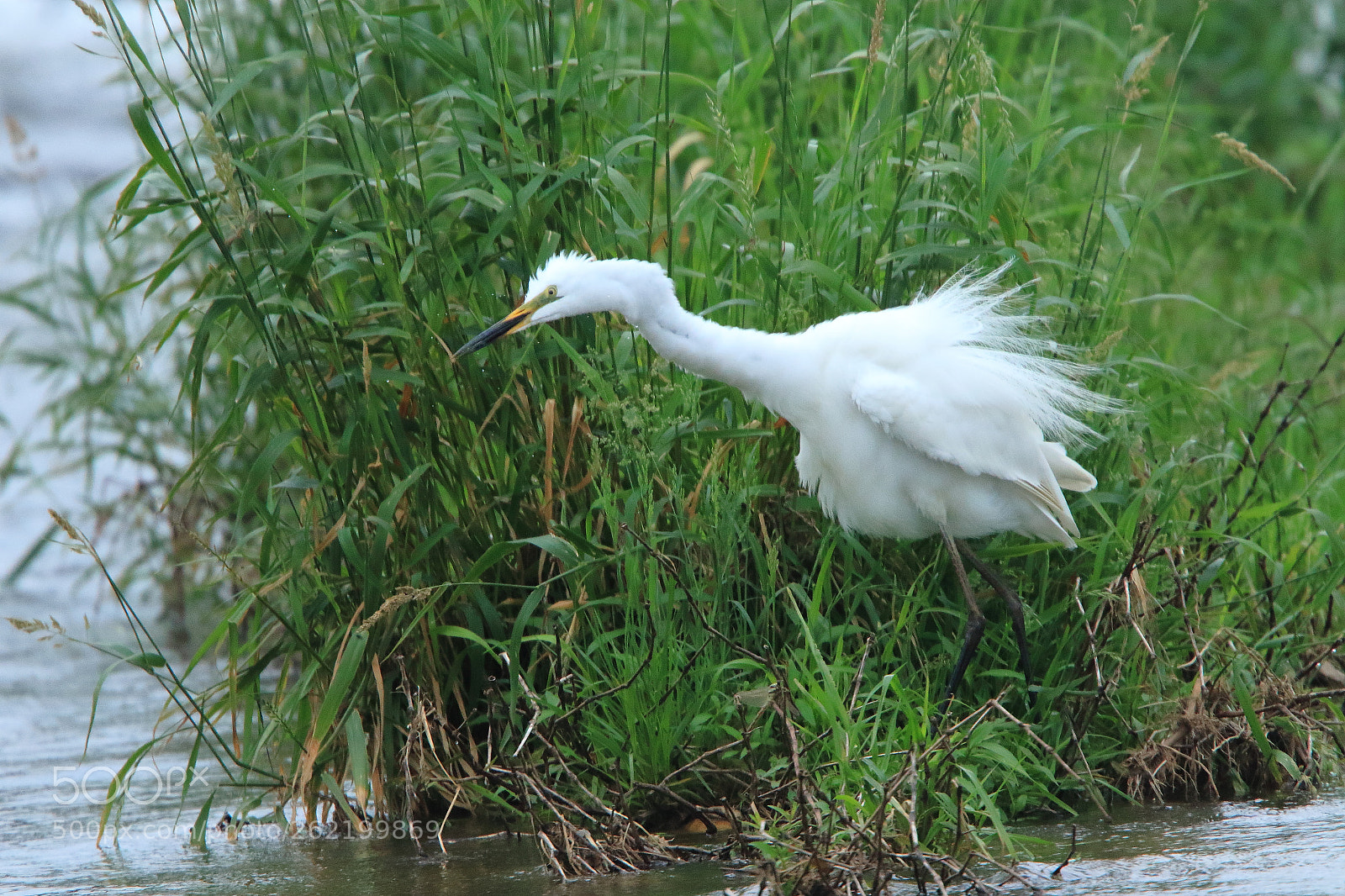 Canon EOS 7D Mark II sample photo. Untitled photography