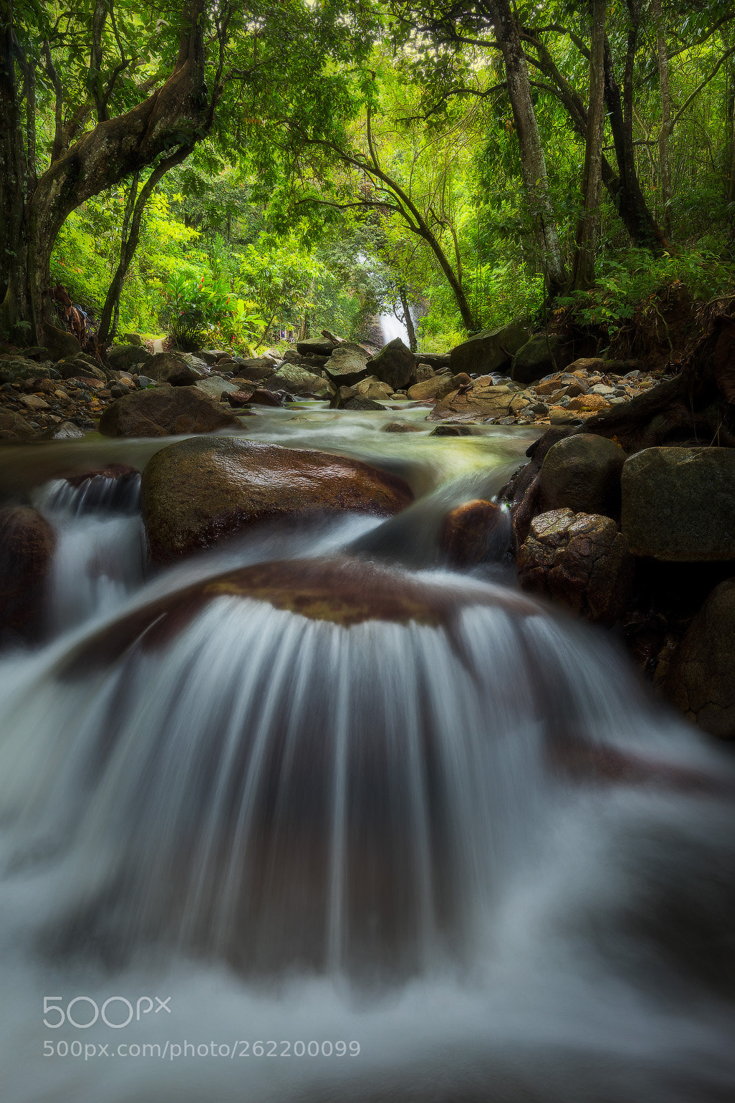 Canon EOS 5D Mark IV sample photo. Biasevu photography