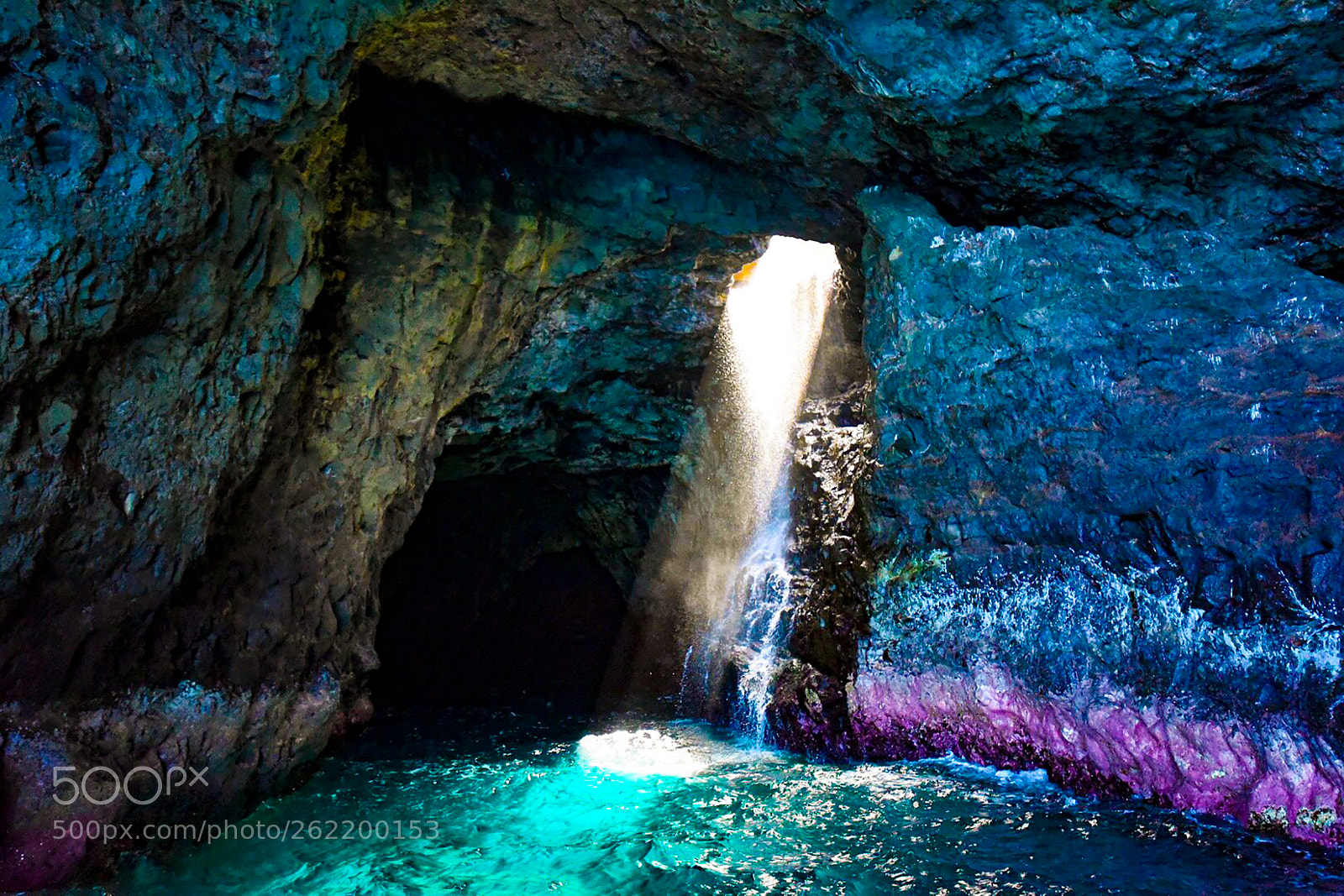 Nikon D750 sample photo. Spotlight on hidden treasure photography