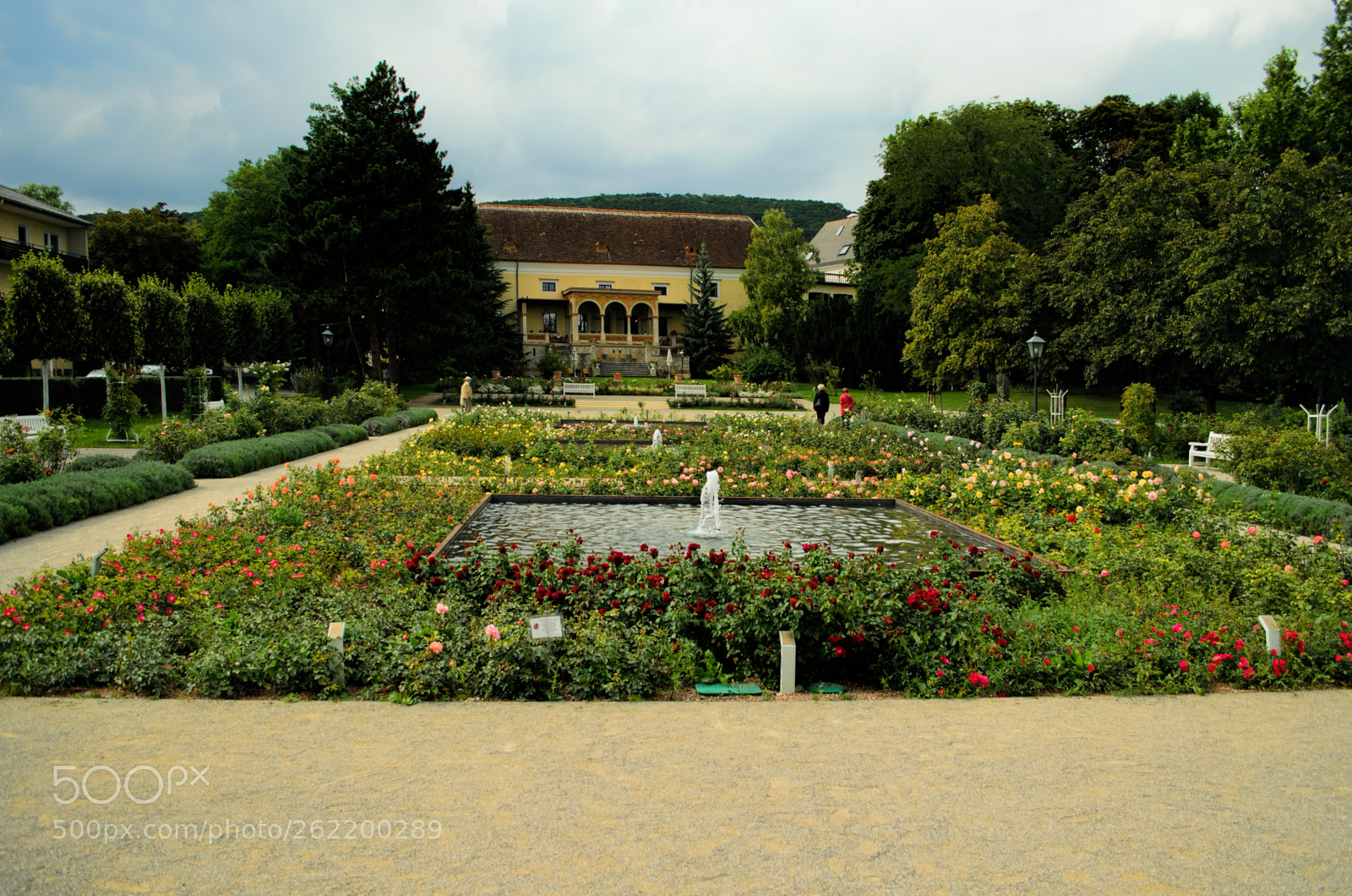 Nikon D5100 sample photo. Rosarium - baden bei photography