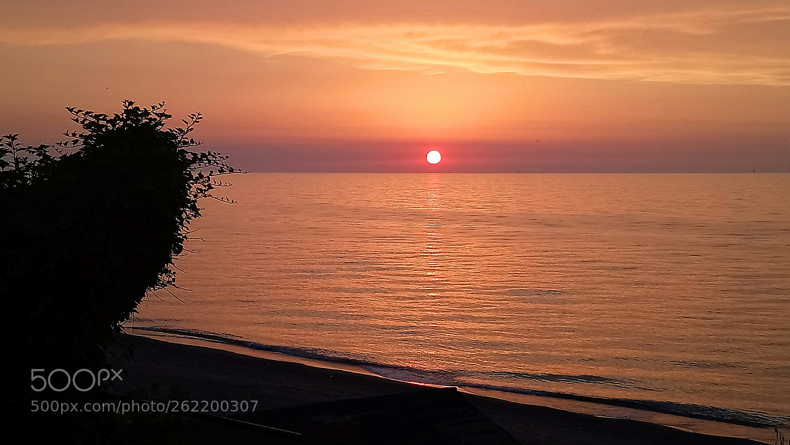 Sony Xperia XA1 Ultra sample photo. Blacksea in orange photography