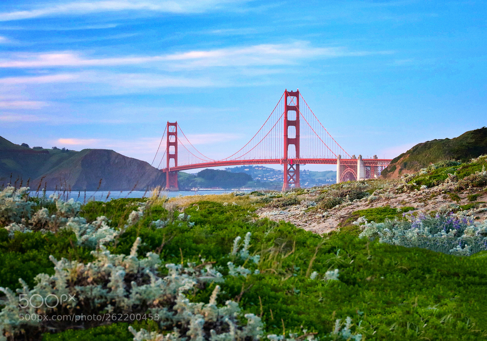 Canon EOS 7D Mark II sample photo. Golden gate bridge photography