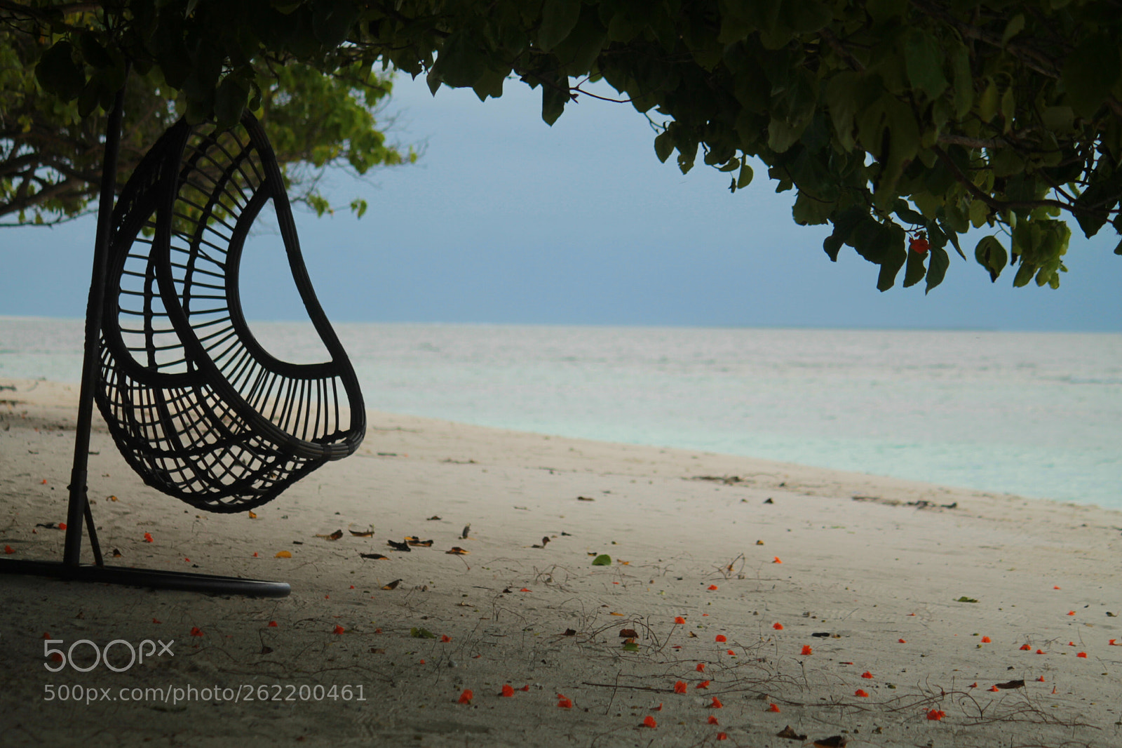 Canon EOS 1100D (EOS Rebel T3 / EOS Kiss X50) sample photo. Enjoy a beach swing photography