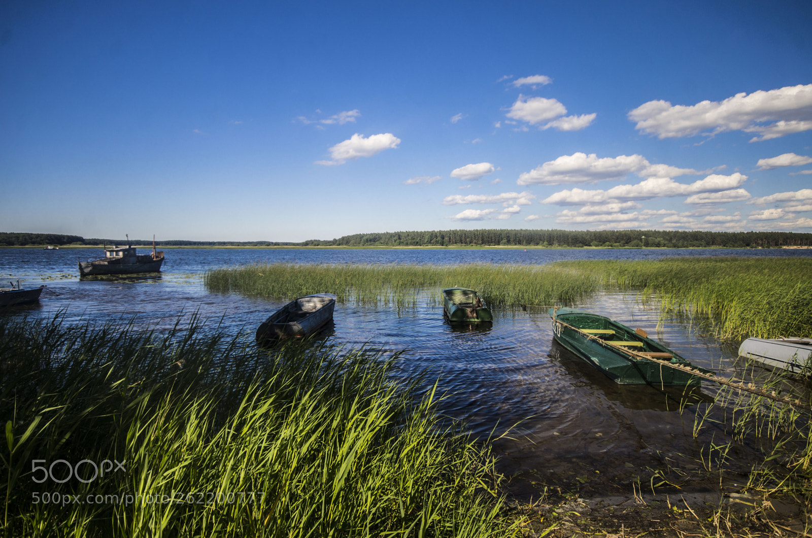 Pentax K-5 sample photo. Narova photography
