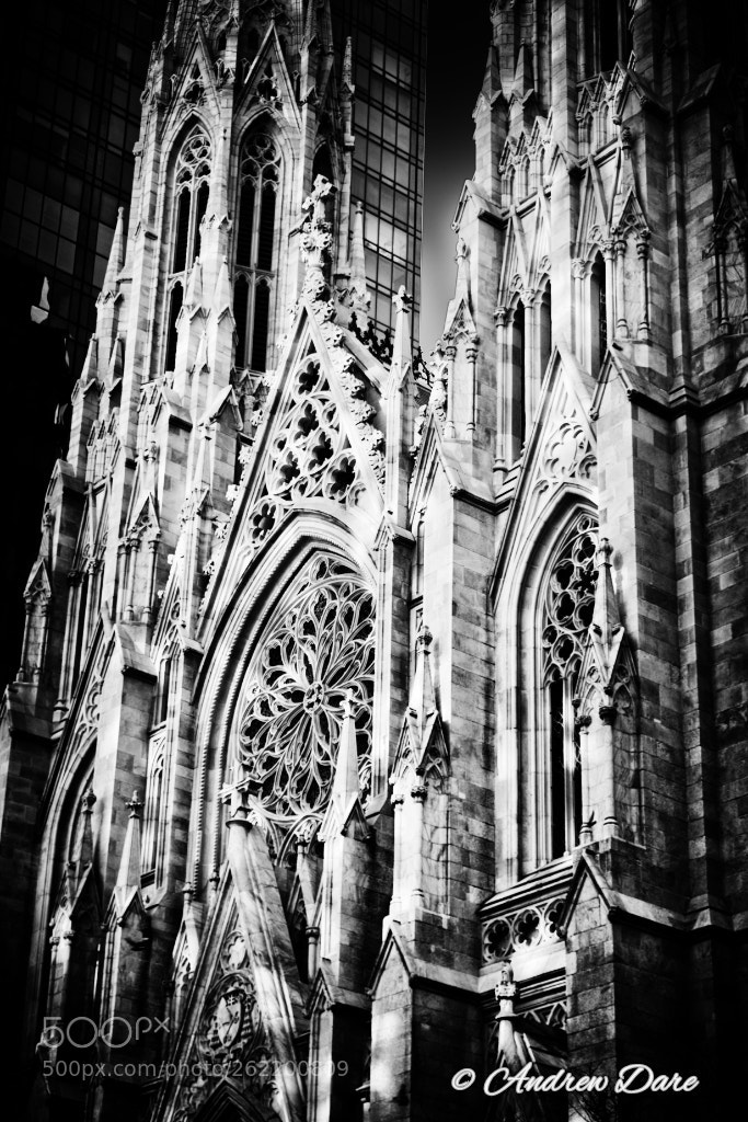 Nikon D810 sample photo. St patrick's cathedral nyc photography