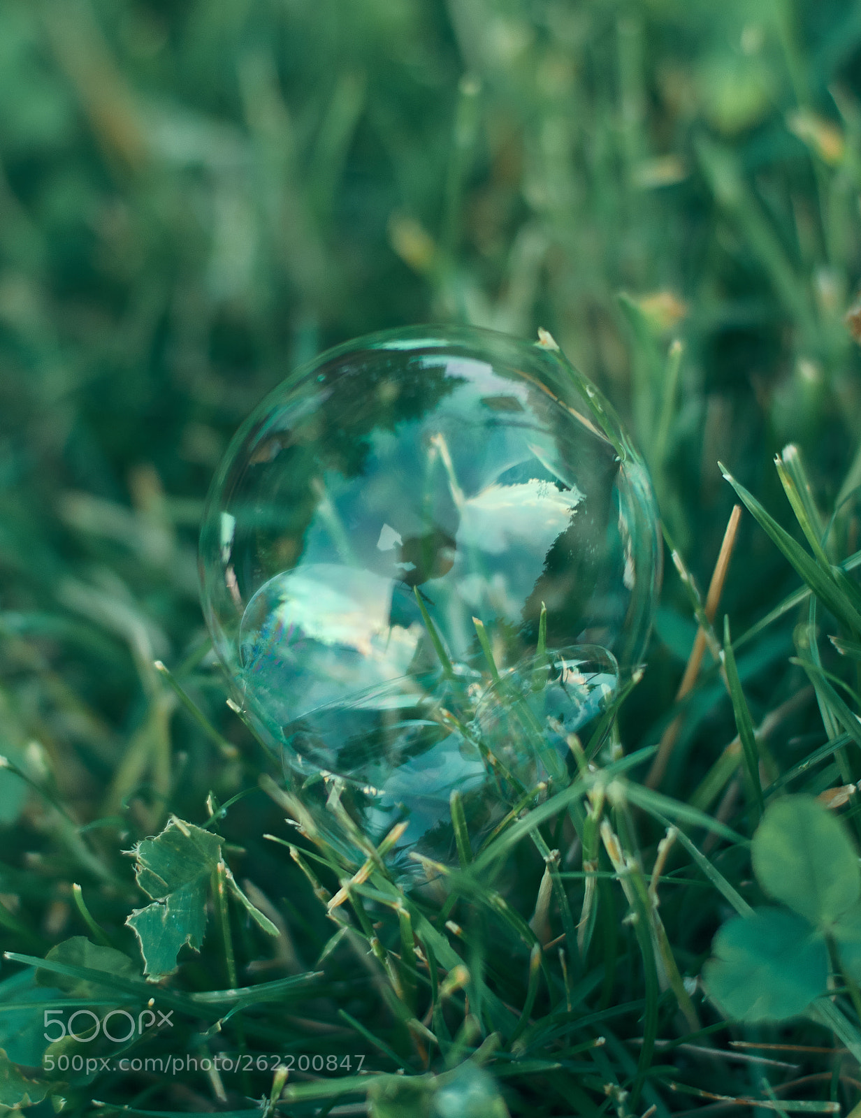 Nikon D3200 sample photo. Untitled photography