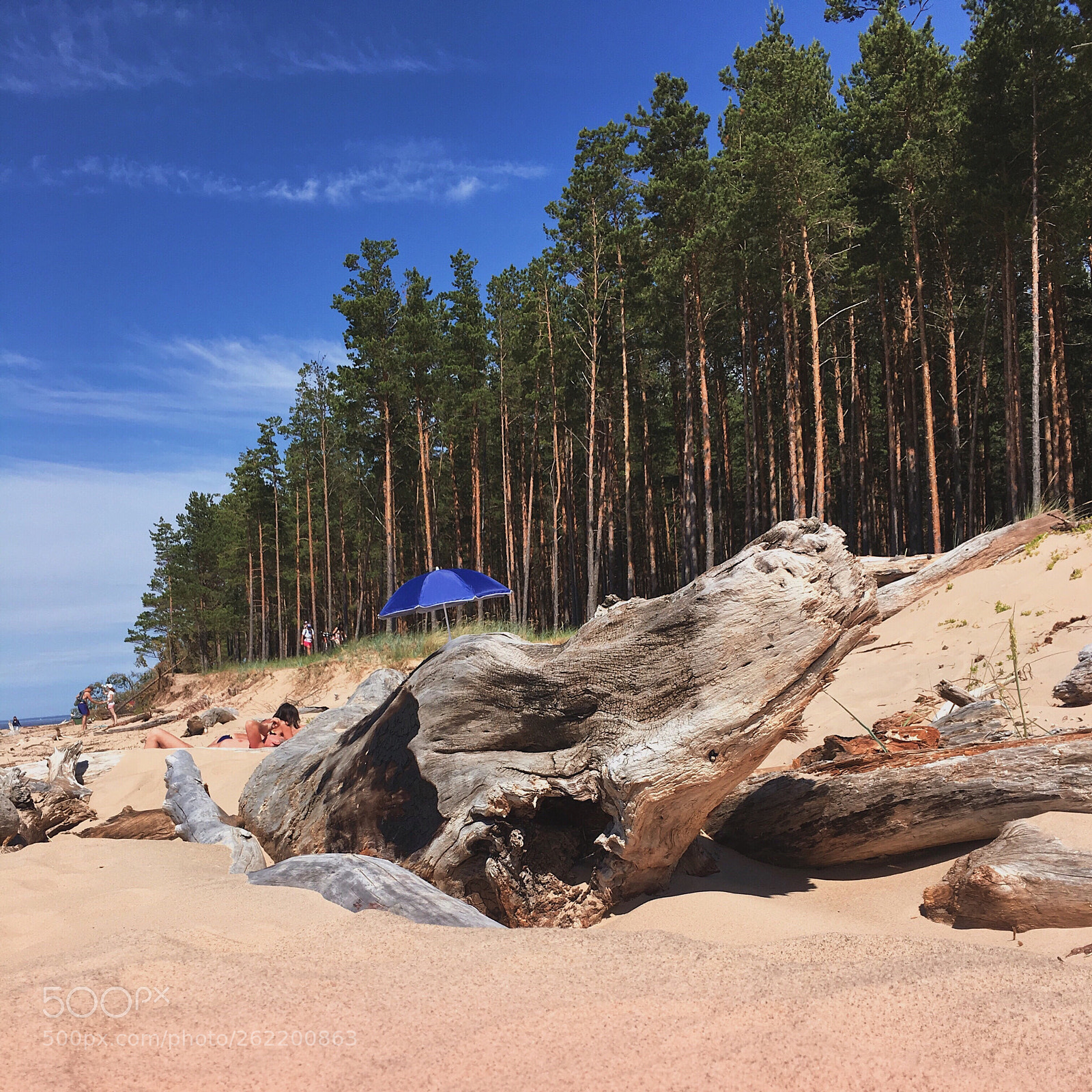 Apple iPhone 6s Plus sample photo. Dragon head with a photography