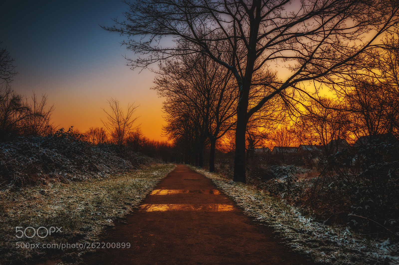 Canon EOS 80D sample photo. Winter morning photography