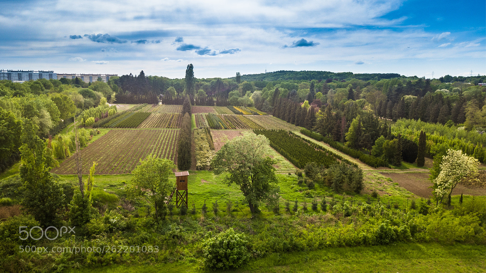 DJI FC220 sample photo. Hdr photography