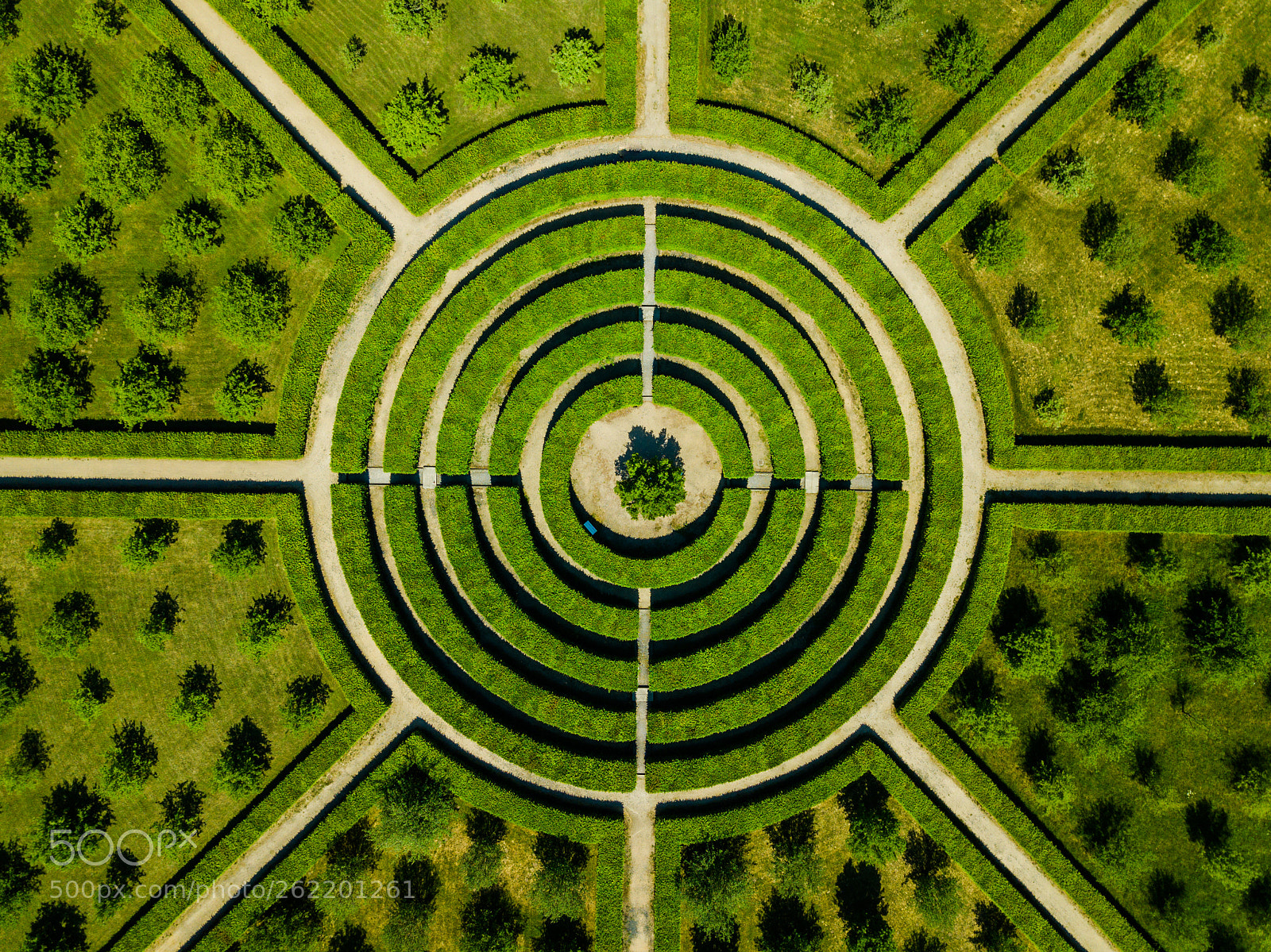 DJI FC220 sample photo. Dji photography