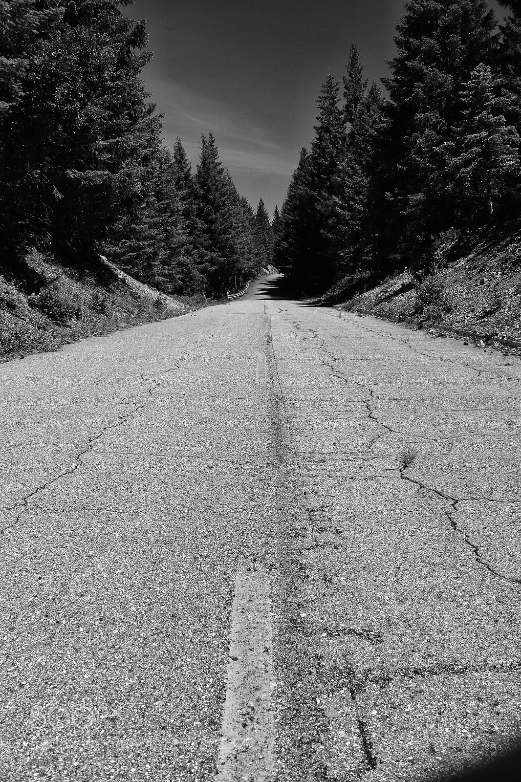 Canon EOS 1300D (EOS Rebel T6 / EOS Kiss X80) sample photo. Forgotten road photography