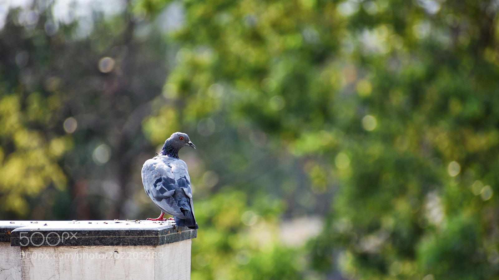 Nikon D3400 sample photo. A ecfbfe aea photography