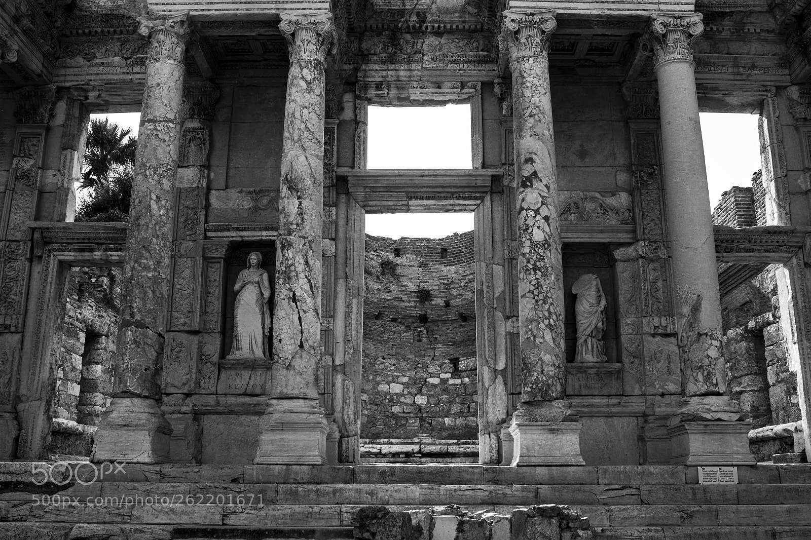 Canon EOS 650D (EOS Rebel T4i / EOS Kiss X6i) sample photo. Library of celsus photography