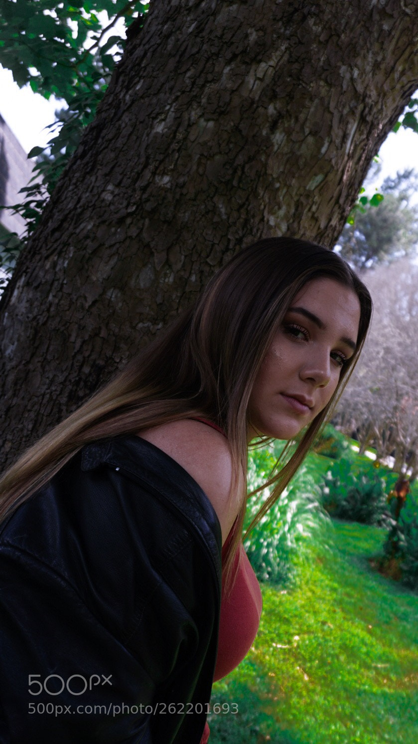 Sony a6000 sample photo. Untitled photography