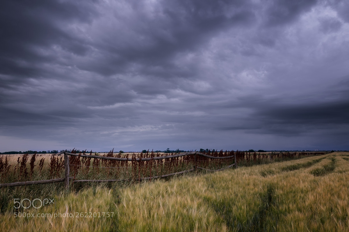 Nikon D5300 sample photo. Silence before the storm photography