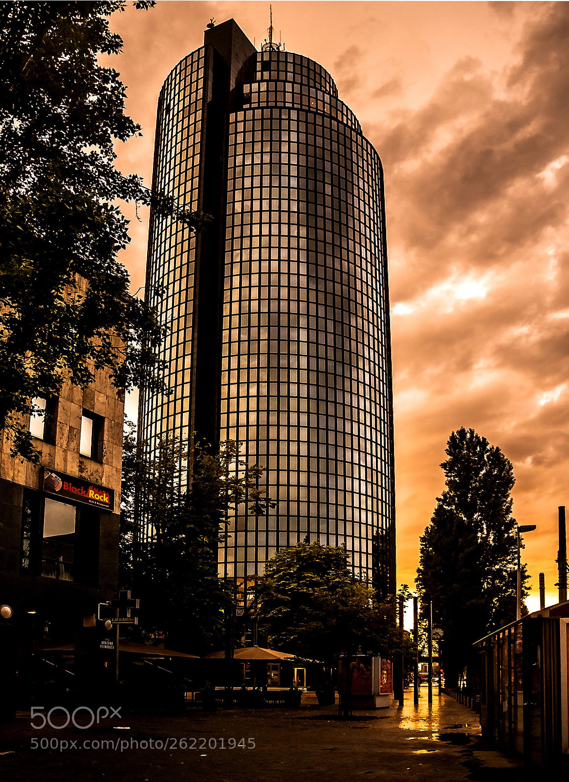 Nikon D60 sample photo. Rainy day photography