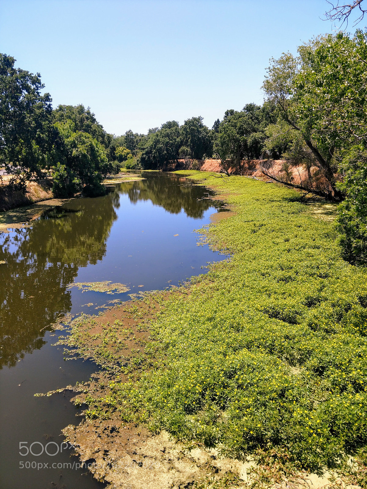 Motorola XT1650 sample photo. Sacramento summer photography