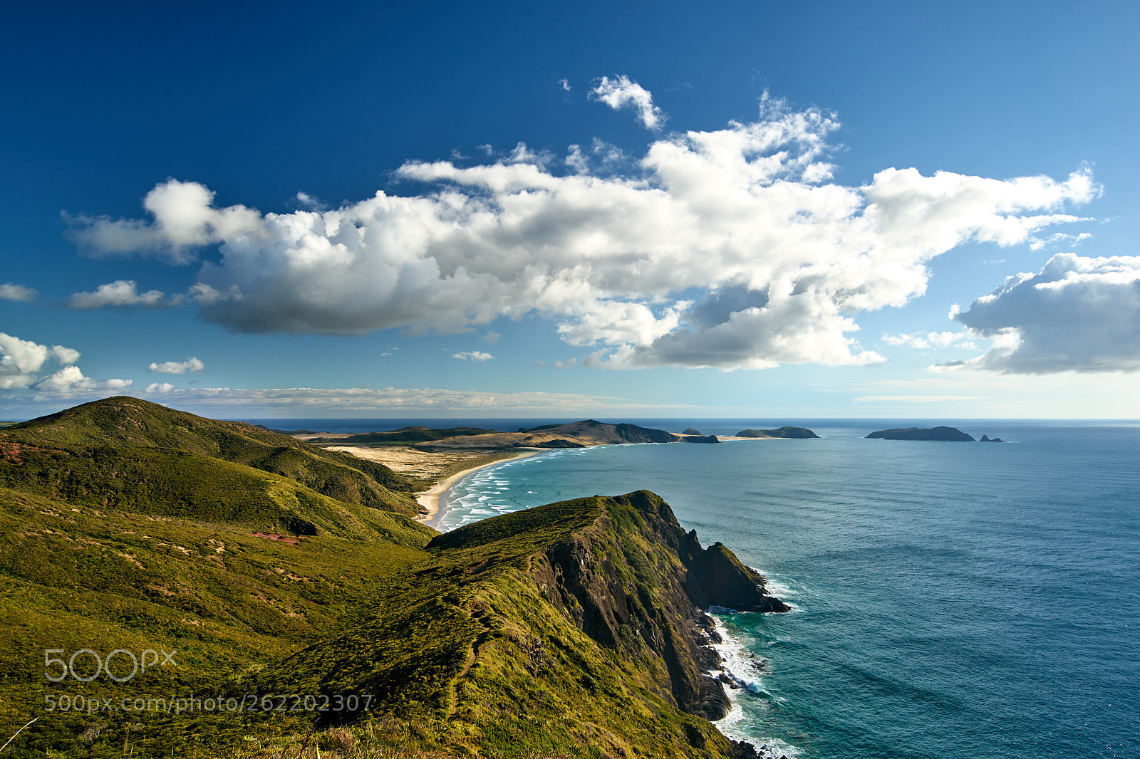 Sony a7 II sample photo. Near cape reinga photography