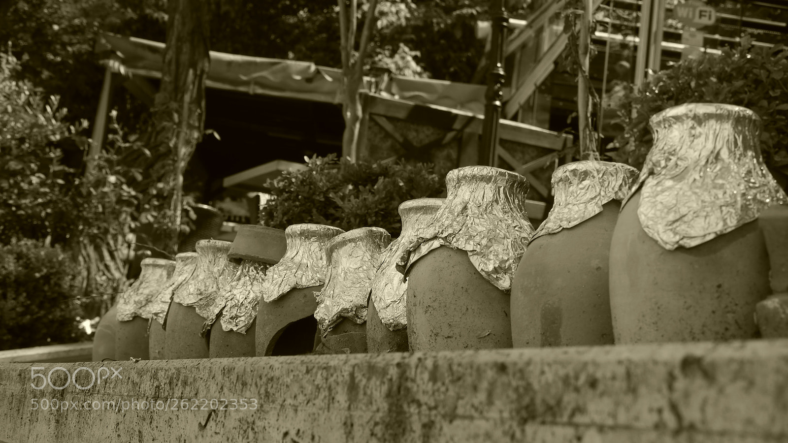 Panasonic Lumix DMC-GH2 sample photo. P photography