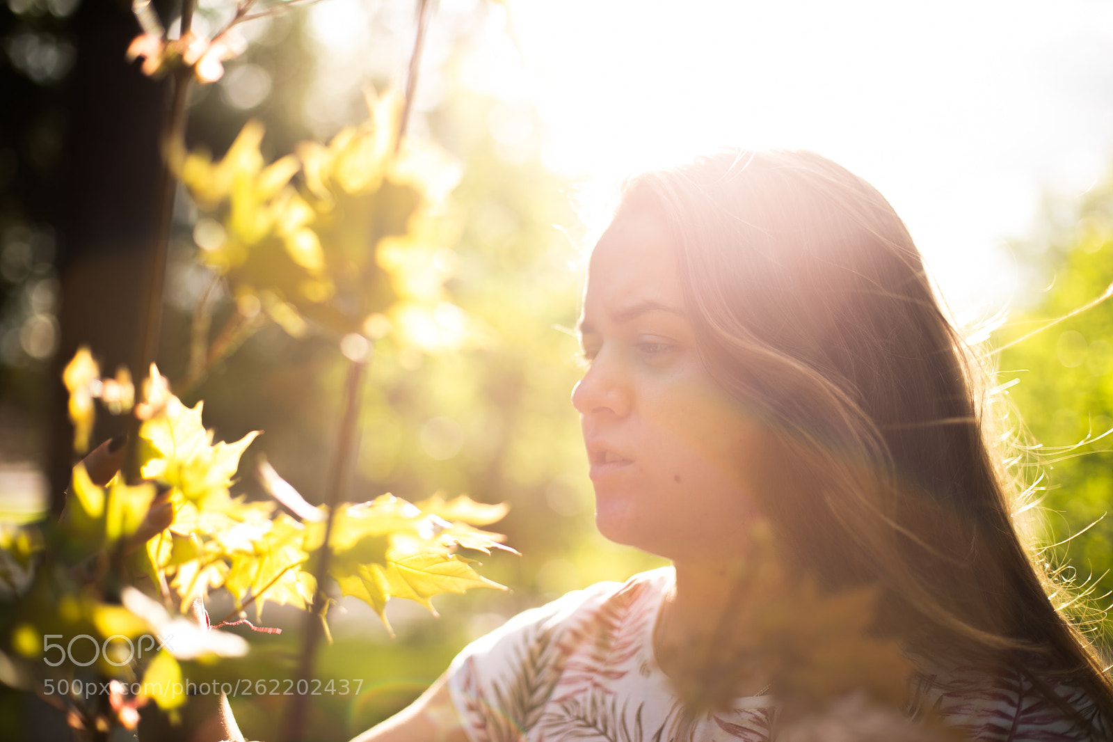 Canon EOS 6D sample photo. Sun photography