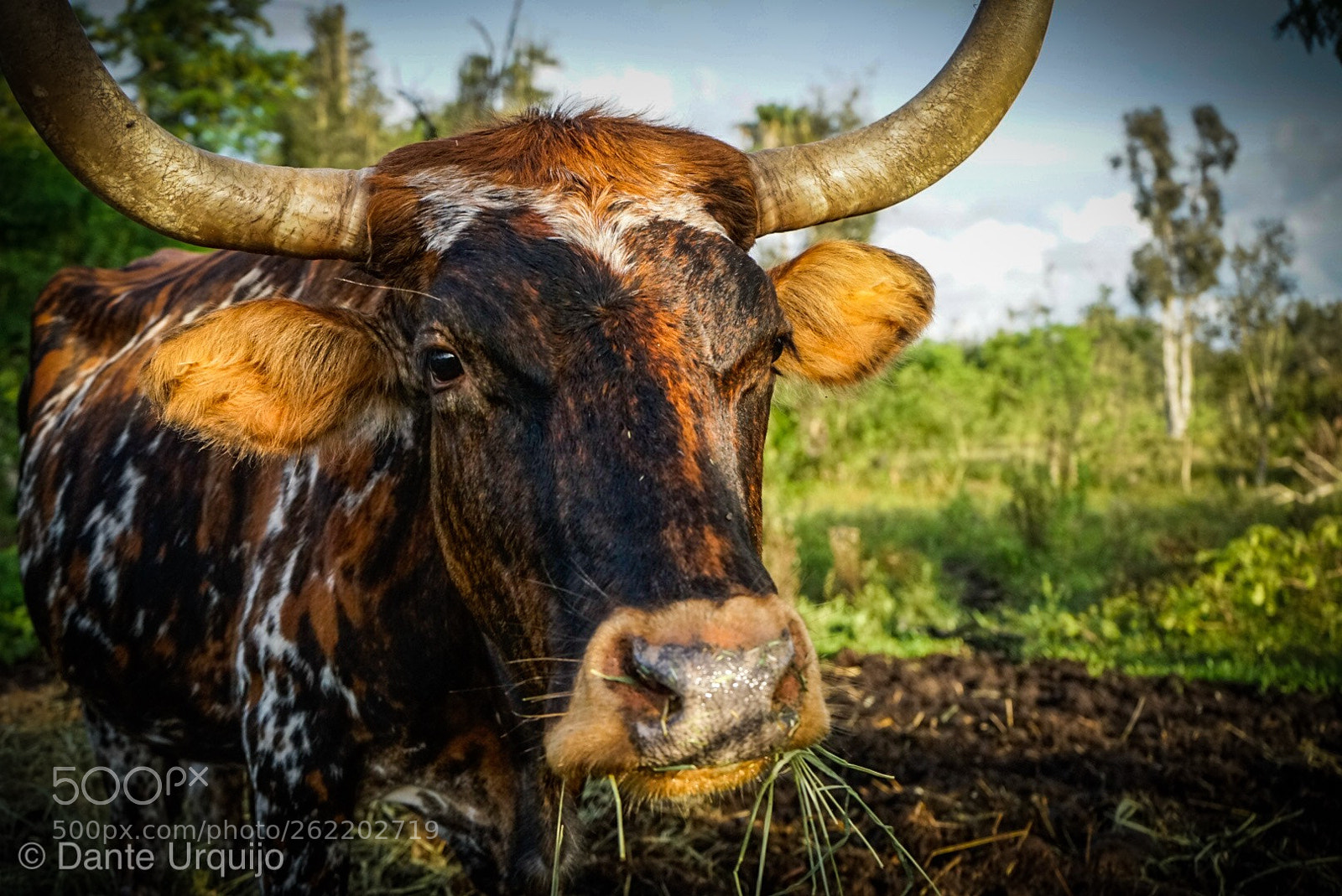 Sony a7 sample photo. What you looking at photography