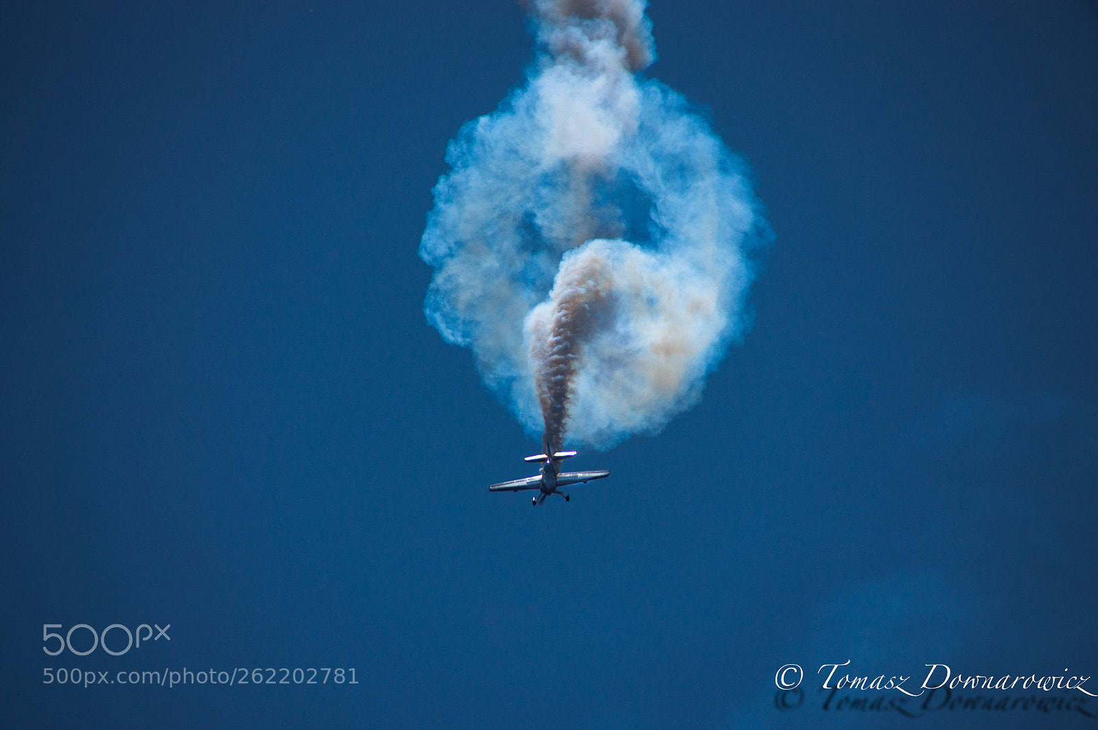 Sony Alpha DSLR-A550 sample photo. Fly high photography