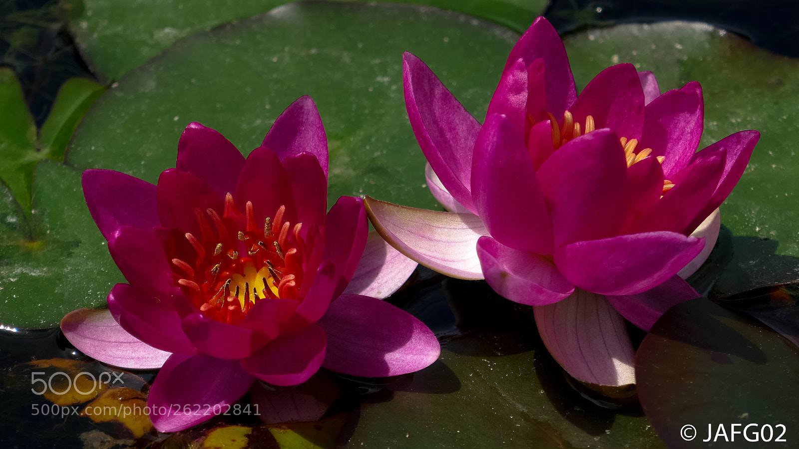 Panasonic Lumix DMC-ZS100 (Lumix DMC-TZ100) sample photo. Lr photography